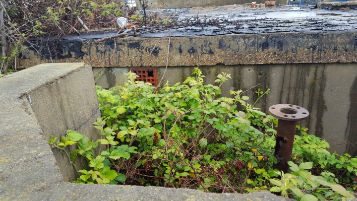 Gun Site